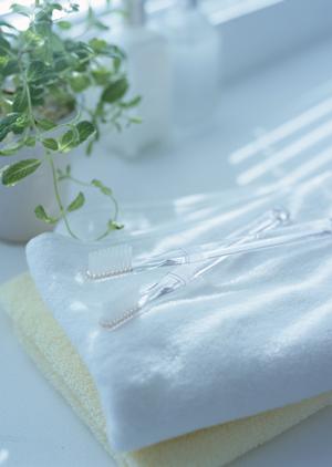 ガチャガチャの森 – 子供から大人まで楽しめる多彩なガチャ体験を提供